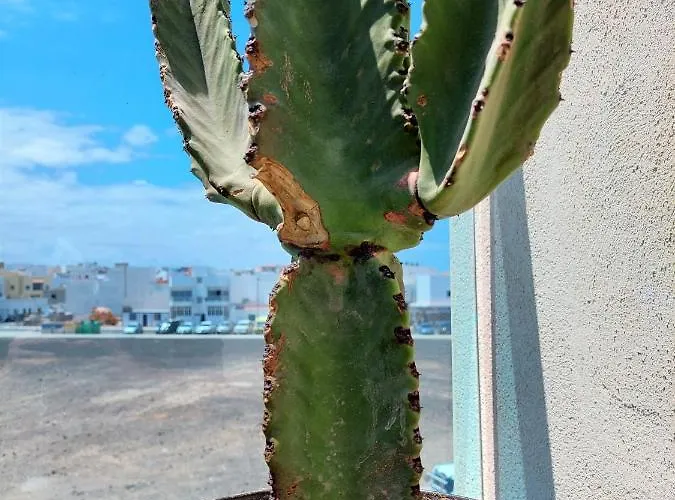 Deep Blue Iii By Sea There Fuerteventura Lägenhet *