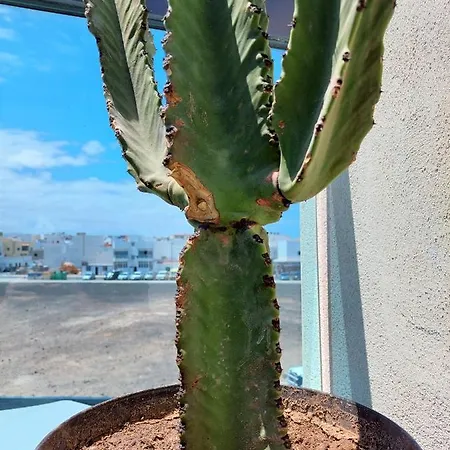 Deep Blue Iii By Sea There Fuerteventura Apartment *